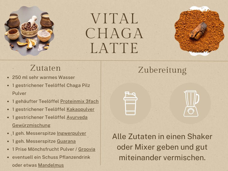 Chaga Latte Zubereitung