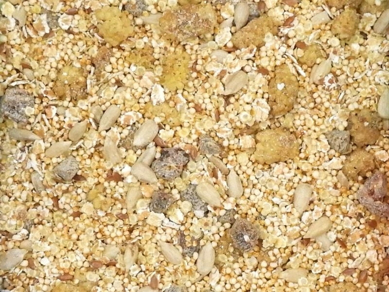 Glutenfreies Müsli bio