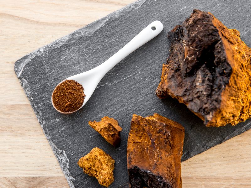 Chaga Pilz Pulver auf Brett