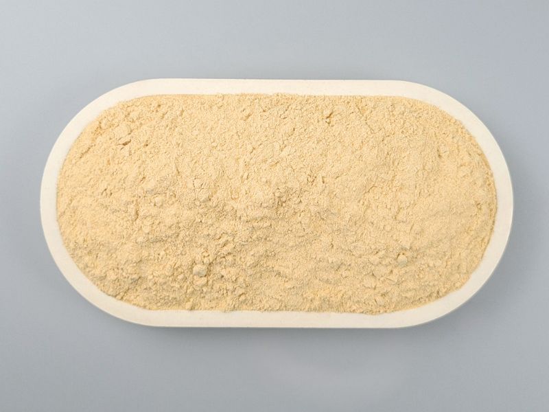 Karottenpulver, fein - in der Schale