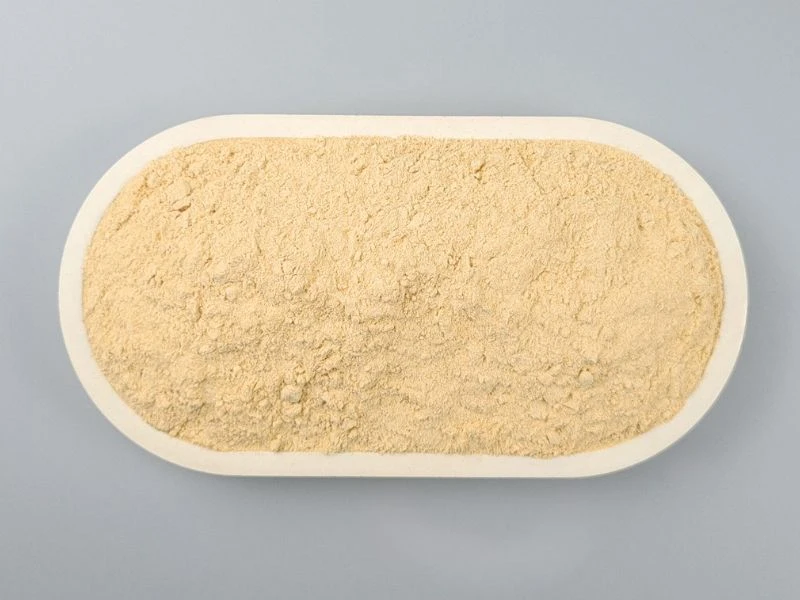 Karottenpulver, fein - in der Schale