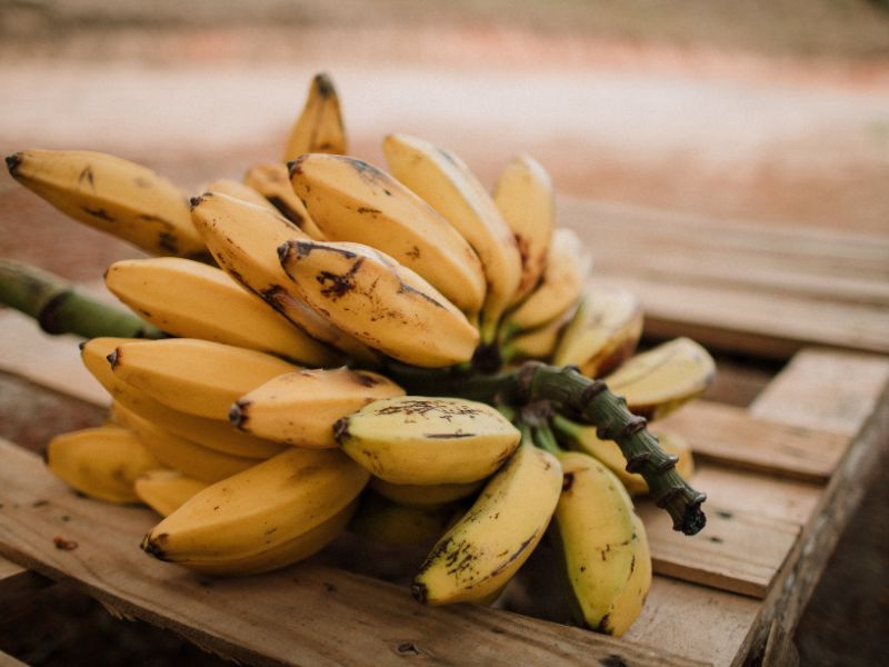 banananescheibe-saba-kochbanane