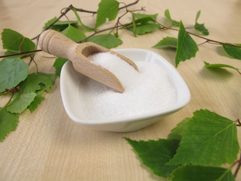 xylitol-birkenzucker-in-schale