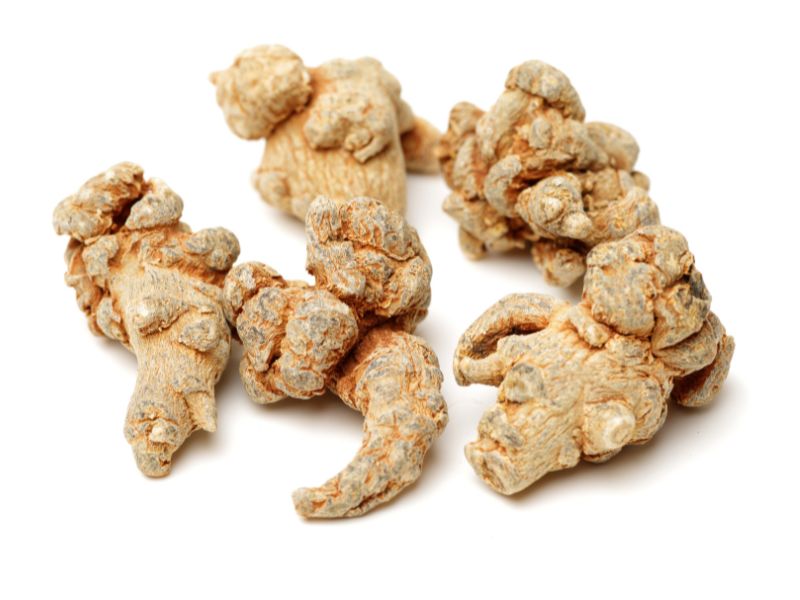 tragant-wurzel-astragalus-membranaceus