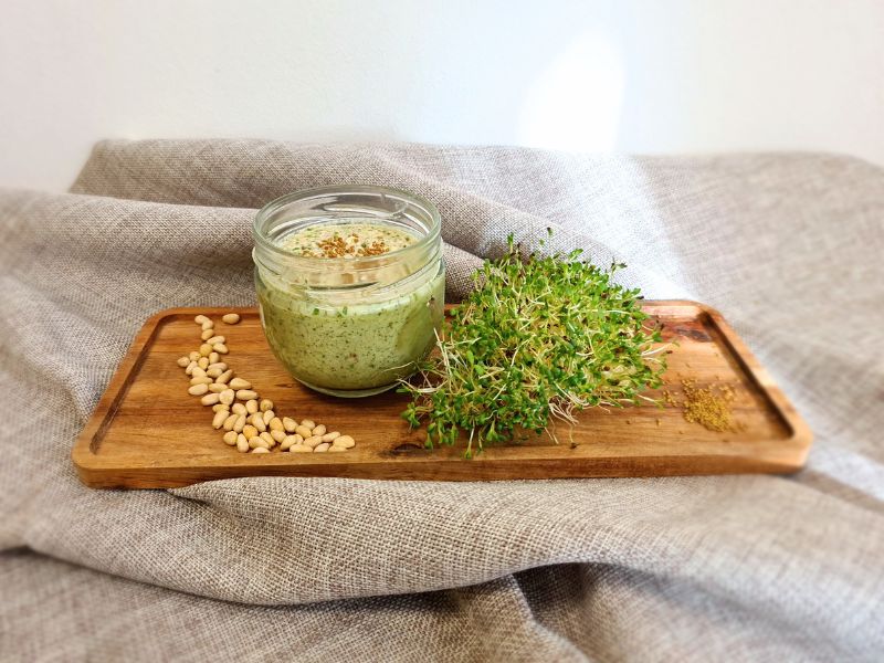 pesto-aus-alfalfasprossen-und-zedernnuessen