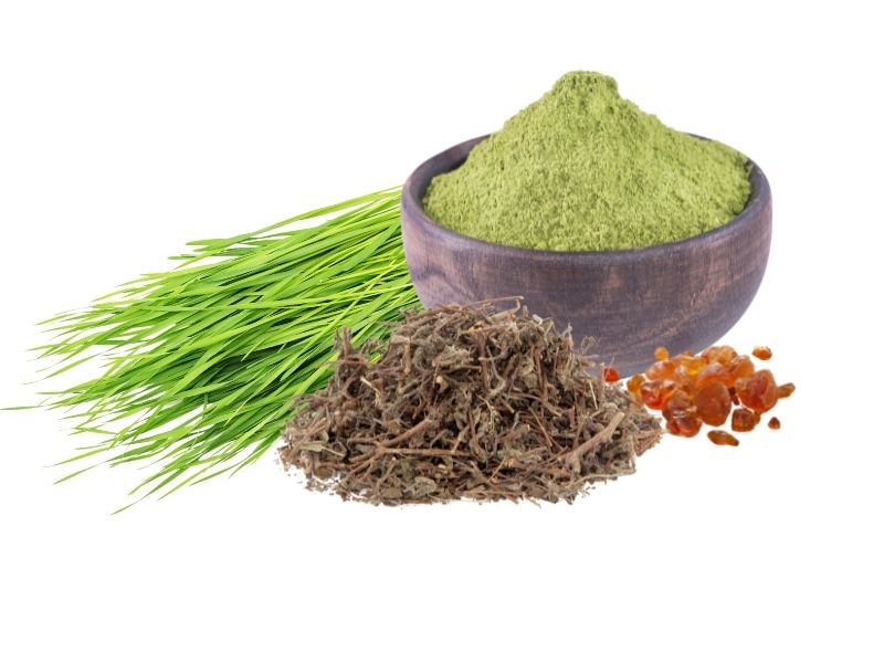 Moringa Tabs Plus Inhaltsstoffe