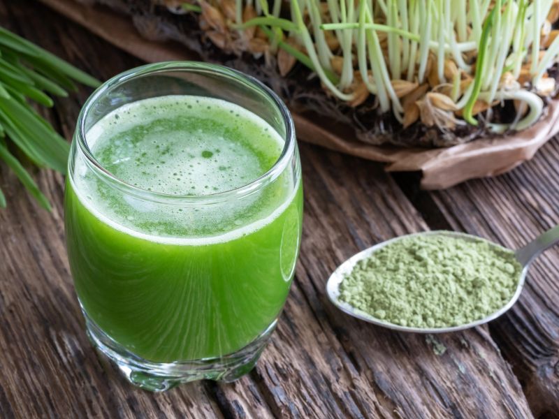 Drink aus Gerstengras Pulver Bio