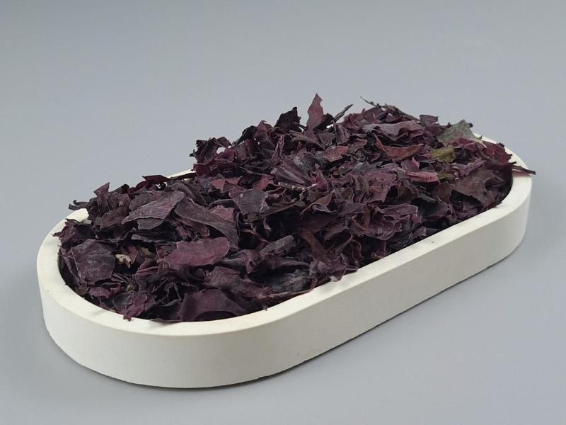 Dulse Algen in einer Schale