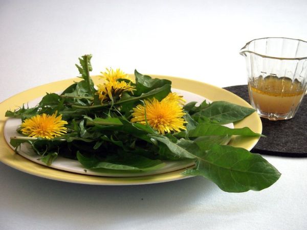 Löwenzahnsalat 