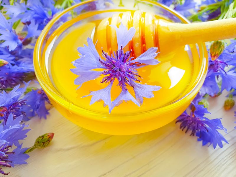 kornblumenhonig-bio-mit-kornblumen