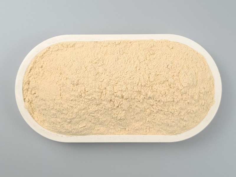 Bio Erbsenprotein in einer Schale von oben