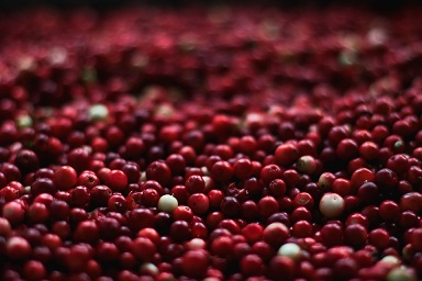 Cranberries-getrocknet-aus-der-ganzen-Beere