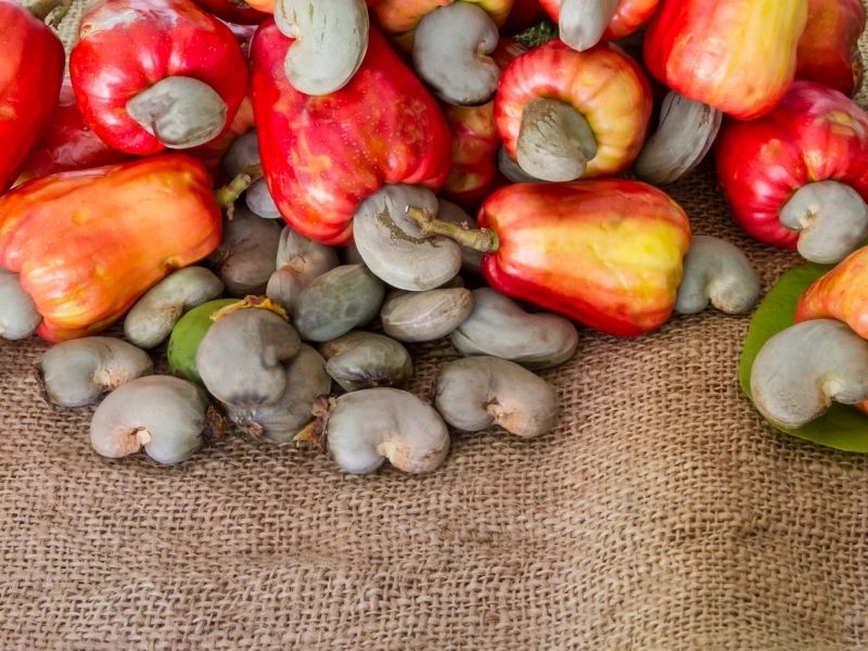 Cashewkerne