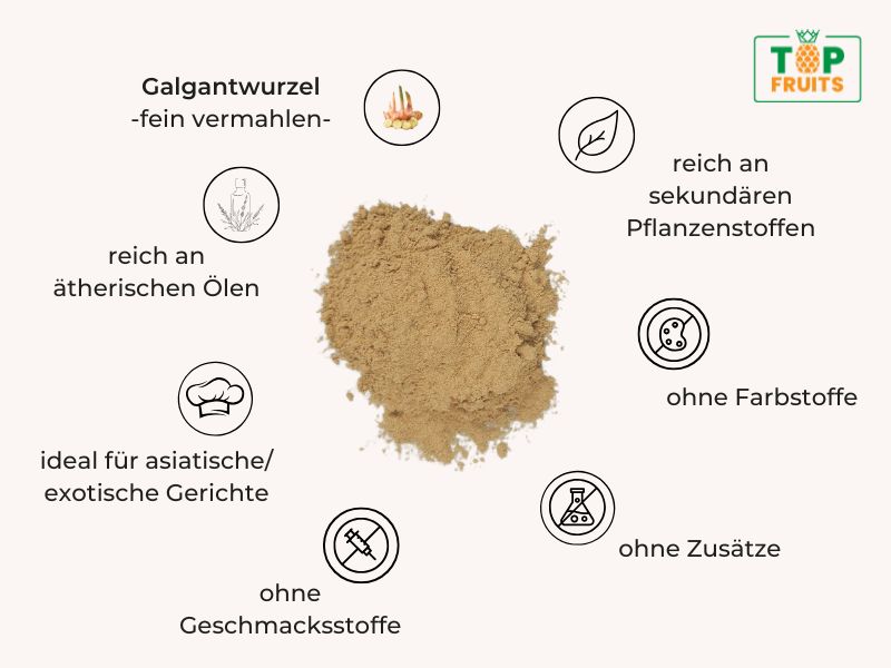 Galgantwurzel gemahlen - Infografik