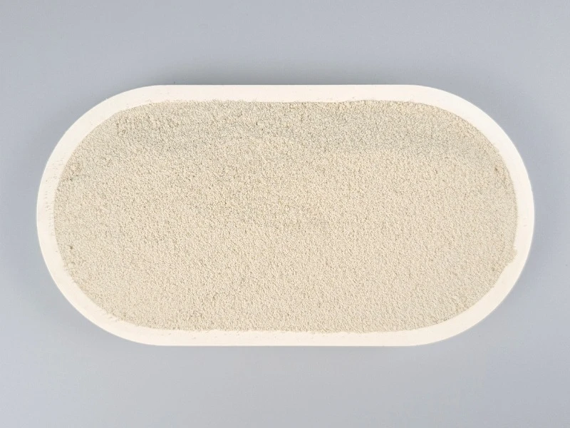 Sonnenblumenprotein in einer Schale von oben