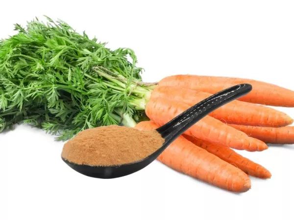 Karottenpulver, fein vermahlen - 600g, 100% Natur