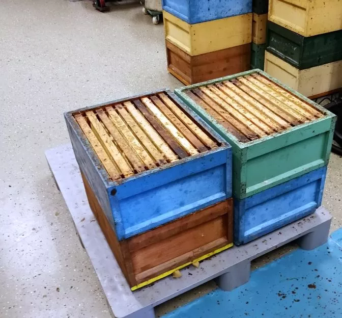 In der Imkerei: Bienenkästen, wie sie vom Feld kommen