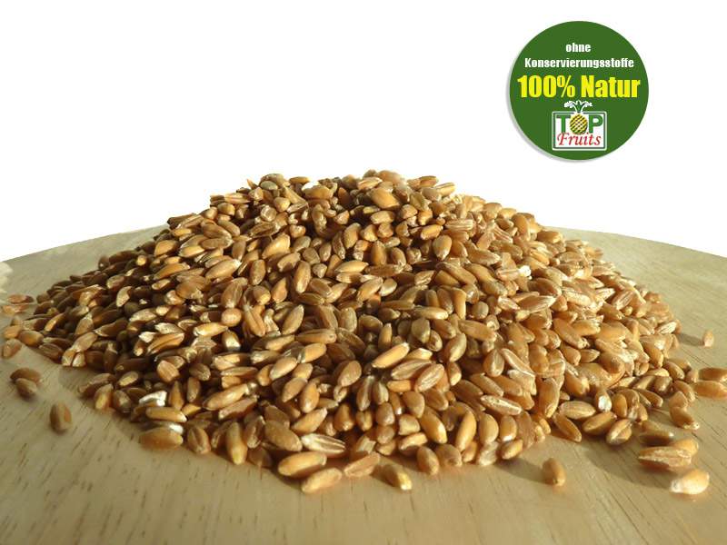 Emmer, Bio Urgetreide, ganzes Korn, 100% Natur