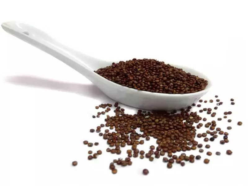 Quinoa rot, ganz, Bio kbA, natur, glutenfreies Inkagetreide