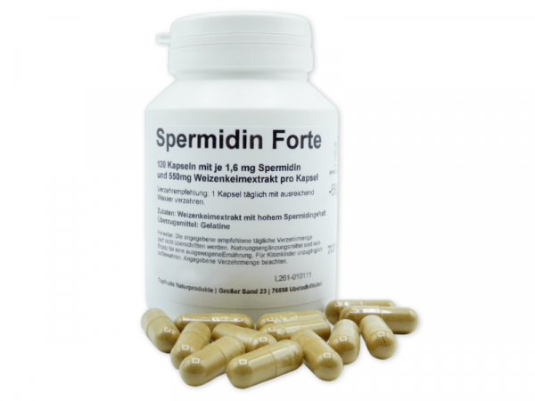 Spermidin Forte, hochdosiert - 120 Kapseln