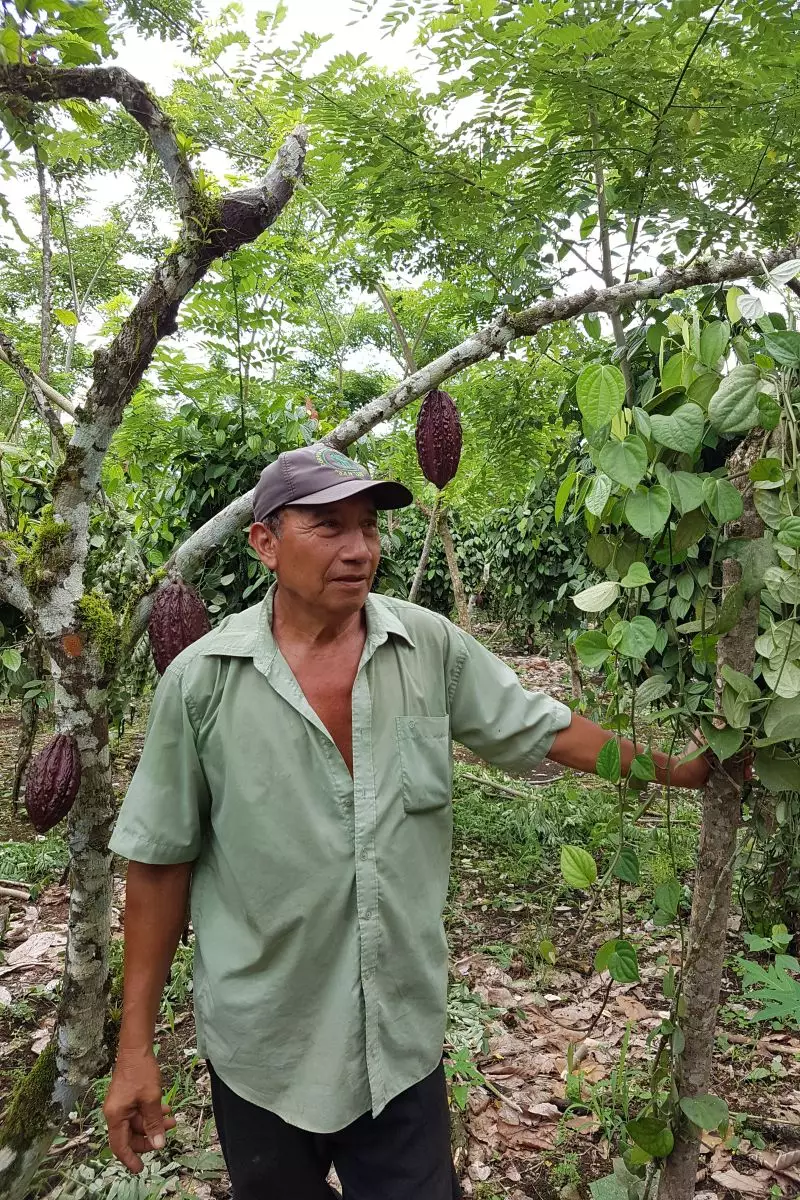 Bio-Agroforst-Projekt Ecuador