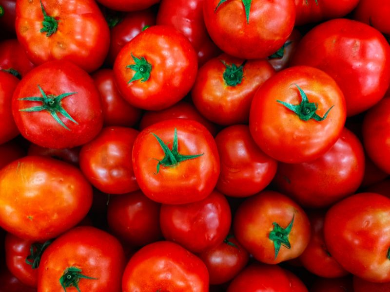 frische-tomaten