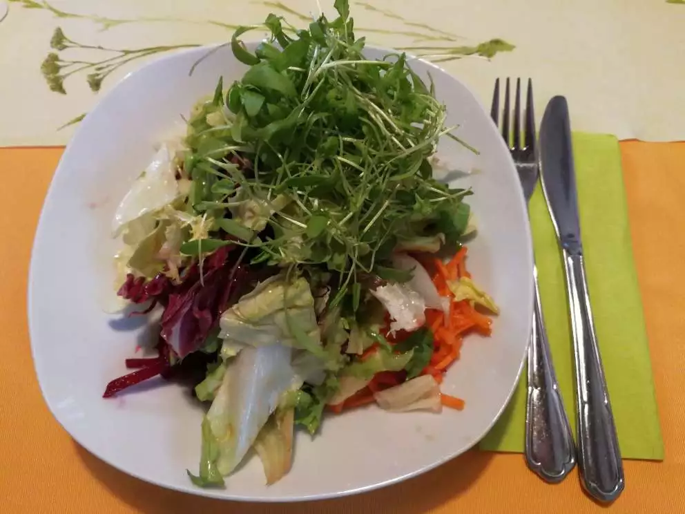 fruehlingssalat greens für mehr Lebensenergie