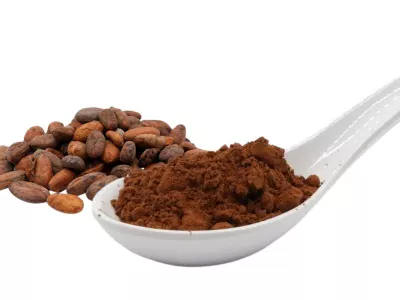 Kakaopulver 100%, bio kbA, (Cacaobohnen, leicht entölt, gemahlen)