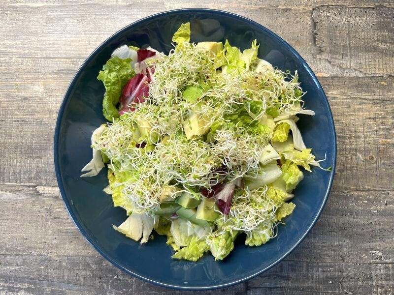 Salat mit Alfalfa Sprossen