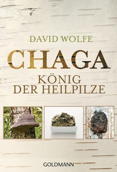 Chaga-Heilpilz-Buch